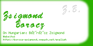 zsigmond borocz business card