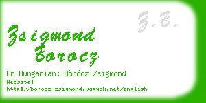 zsigmond borocz business card